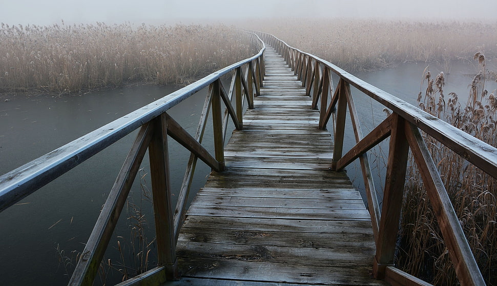 brown wooden bridge HD wallpaper