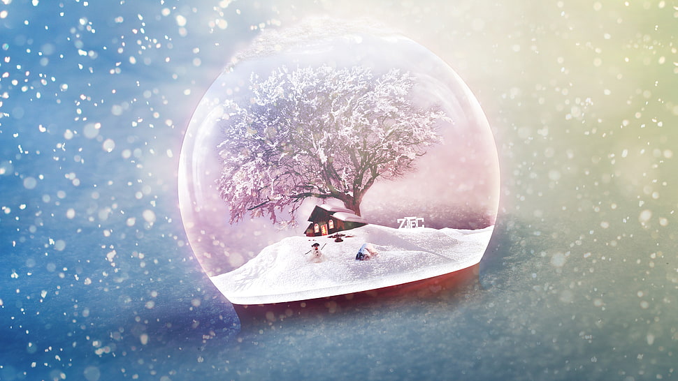 white snowglobe table decor HD wallpaper