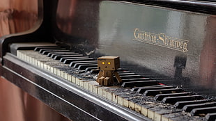 black Grotrian Steinveg piano, piano, Danbo HD wallpaper