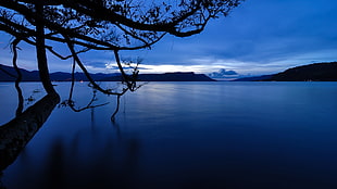 body of water, lake, water