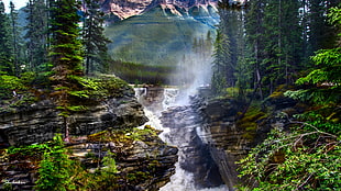 time lapse photography of water falls surrounded by tress, athabasca HD wallpaper