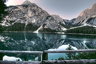 glacier, snow, wood, landscape