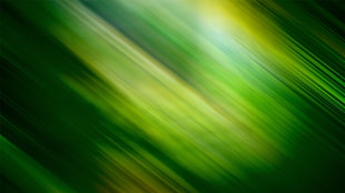 green and yellow wallpaper HD wallpaper