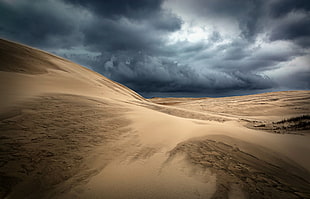 brown sand field, nature, landscape, desert, sand