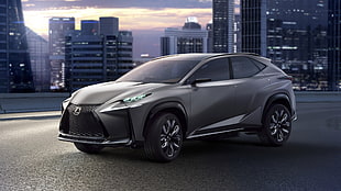 gray Lexus SUV concept