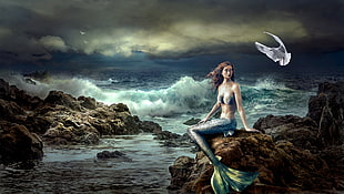 painting of mermaid sitting on rock