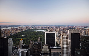 black and gray concrete high rise buildings, Central Park, city, New York City