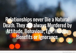 relationship never die a natural death illustration HD wallpaper