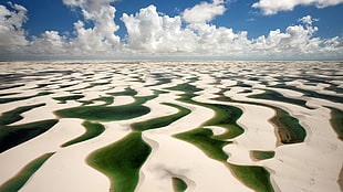 green and white floral area rug, dune, nature, landscape, France HD wallpaper