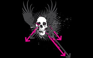 skull wing art, black background, grunge, skull, vector art HD wallpaper