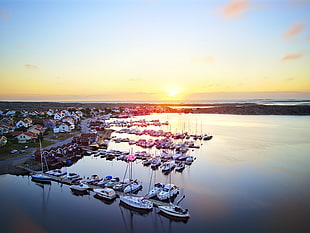 aerial photography of boats during golden hour, swedish HD wallpaper