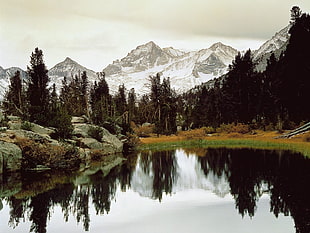 person taking photo of forest with body of water