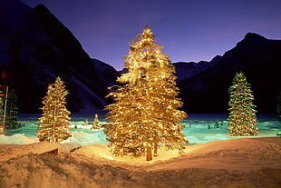 LED pine trees HD wallpaper