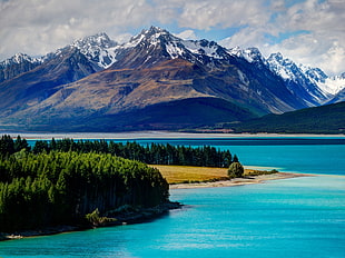 snowy mountain with sea and trees at daylight photography