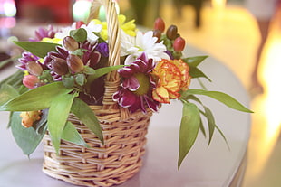 white, purple and orange flowers on wicker basket HD wallpaper