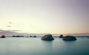 rocks formation on body of water, landscape, nature, stones, seals HD wallpaper