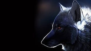 white wolf, wolf, artwork HD wallpaper