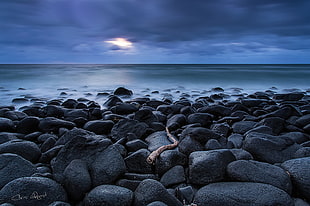 brown wooden stick on stone near beach shore HD wallpaper