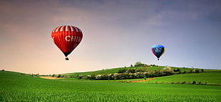 two blue and red hot air balloons above green grass and under blue skies during daytime HD wallpaper