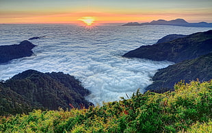 sea of clouds during sunrise HD wallpaper