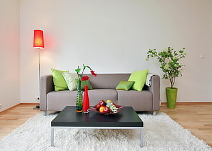 gray fabric sofa and green throw pillows