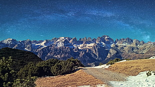 green leafed trees, mountains, sky, stars, snow