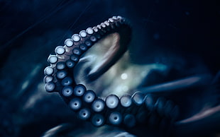 illustration of octopus tentacles HD wallpaper