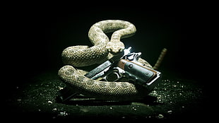 grey and brown rattle snake, Hitman, video games HD wallpaper