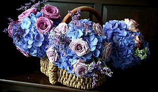 brown wicker basket and blue multi-petaled flowers HD wallpaper
