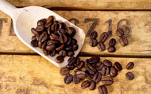 brown coffee beans