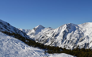 mountain cover by snow under blue calm sky