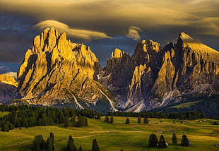 brown mountain near trees, Alps, forest, Tyrol, Italy