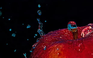 macro photography of water droplets on red apple fruit HD wallpaper