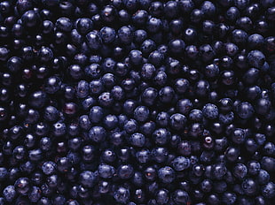 closeup photography of bunch of blueberries HD wallpaper