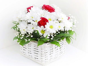 red Rose and white Daisy flowers in white wicker basket photo HD wallpaper