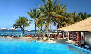 pool and beach resort photo HD wallpaper