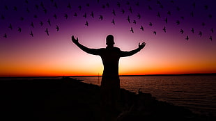 silhouette of person and birds near body of water during horizon HD wallpaper