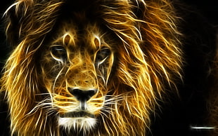Lion, lion, Fractalius HD wallpaper
