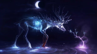 deer, crescent moon, glowing, animals HD wallpaper