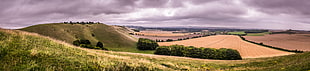 landscape photo of clear grass field during daytime, pewsey, england HD wallpaper