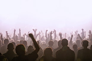 men's black top, concerts, music, crowds, people HD wallpaper