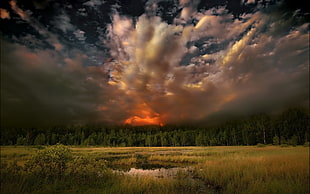 alto cirrus clouds over green grass field wallpaper, nature, trees, sunset, forest