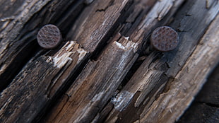 brown firewood HD wallpaper