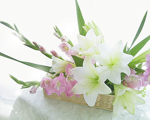 pink and white petaled flowers in basket HD wallpaper