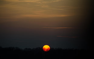 silhouette of trees during sunset, Sun, sunset, forest