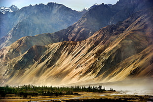 brown mountains with green trees