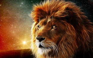 lion portrait digital wallpaper HD wallpaper