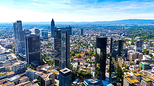 bird's eye view of high rise buildings HD wallpaper