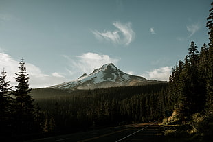 mountain scenery, mountains, road, forest, clouds HD wallpaper