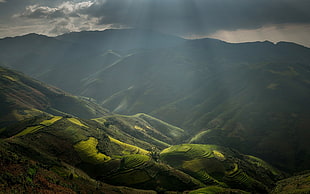 green mountain, nature, landscape, rice paddy, sun rays HD wallpaper